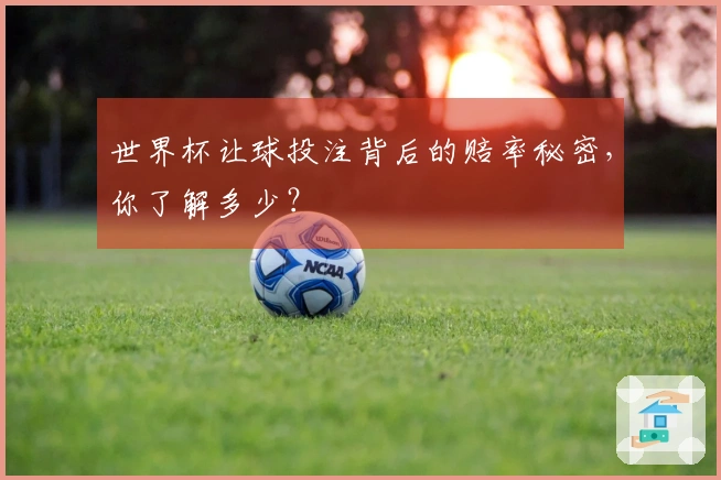 世界杯让球投注背后的赔率秘密，你了解多少？