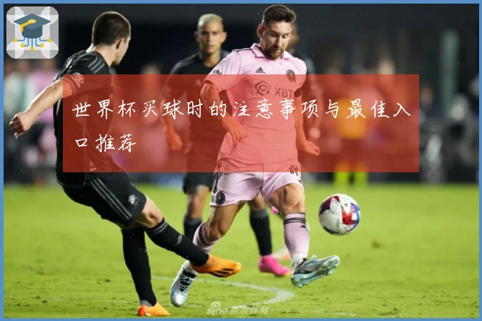 世界杯买球时的注意事项与最佳入口推荐