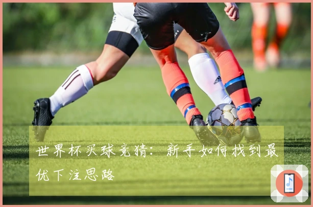 世界杯买球竞猜：新手如何找到最优下注思路