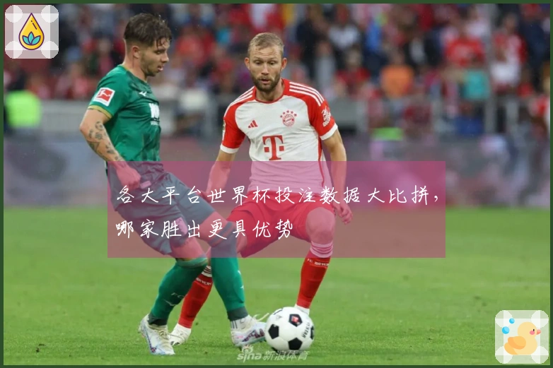 各大平台世界杯投注数据大比拼，哪家胜出更具优势