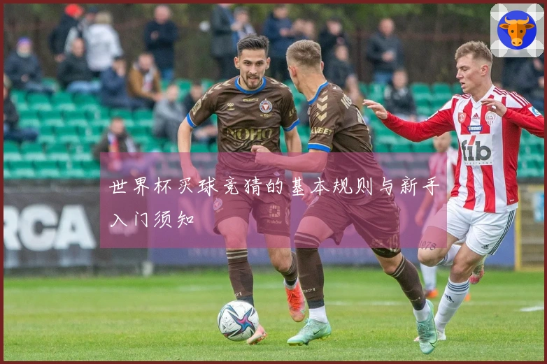 世界杯买球竞猜的基本规则与新手入门须知