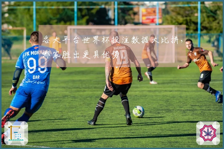 各大平台世界杯投注数据大比拼，哪家胜出更具优势