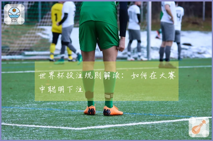 世界杯投注规则解读：如何在大赛中聪明下注