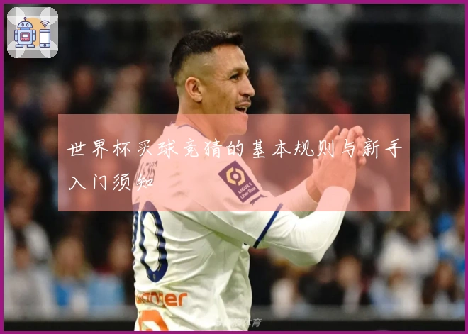 世界杯买球竞猜的基本规则与新手入门须知