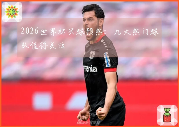 2026世界杯买球预热：几大热门球队值得关注