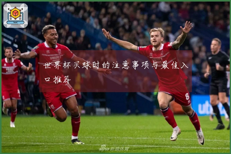 世界杯买球时的注意事项与最佳入口推荐